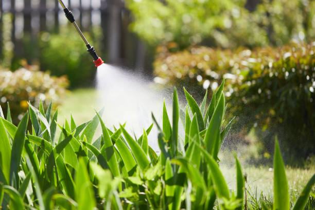24/7 Emergency Mosquito Control experts in Orchards, WA